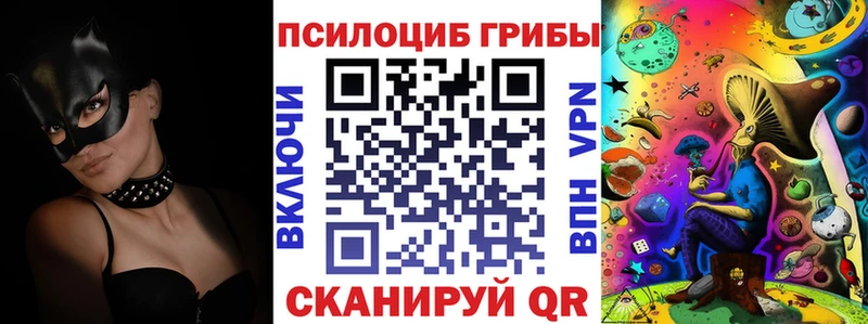 купить наркотик  Сухиничи  Псилоцибиновые грибы мицелий 
